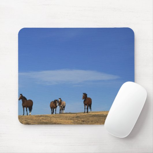 Tapis De Souris Chevaux et ciel (Avec souris)