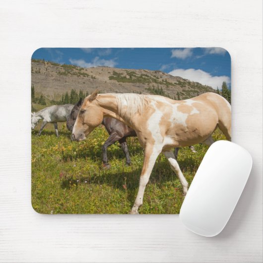 Tapis De Souris Chevaux et Mules (Avec souris)