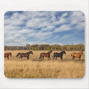 Tapis De Souris Chevaux juste à l'extérieur du parc national de Gr