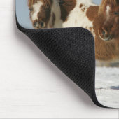 Tapis De Souris Chevaux miniatures se tenant dans la neige (Coin)