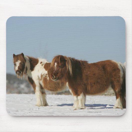 Tapis De Souris Chevaux miniatures se tenant dans la neige (Devant)