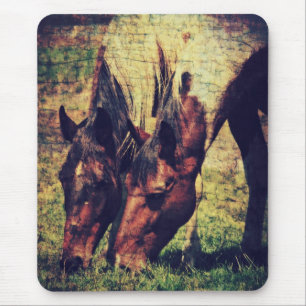 Tapis De Souris Chevaux Pinto