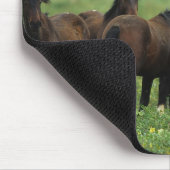 Tapis De Souris Chevaux sauvages 3 de mustang (Coin)