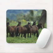 Tapis De Souris Chevaux sauvages 3 de mustang (Avec souris)