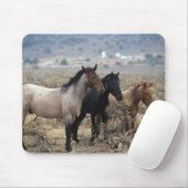 Tapis De Souris Chevaux sauvages 5 de mustang (Avec souris)