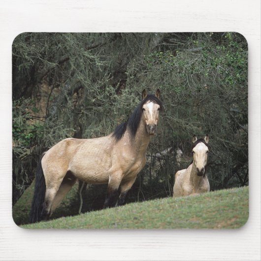 Tapis De Souris Chevaux sauvages 6 de mustang (Devant)