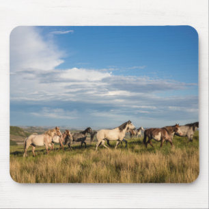 Tapis De Souris Chevaux sauvages dans le parc national Theodore Ro