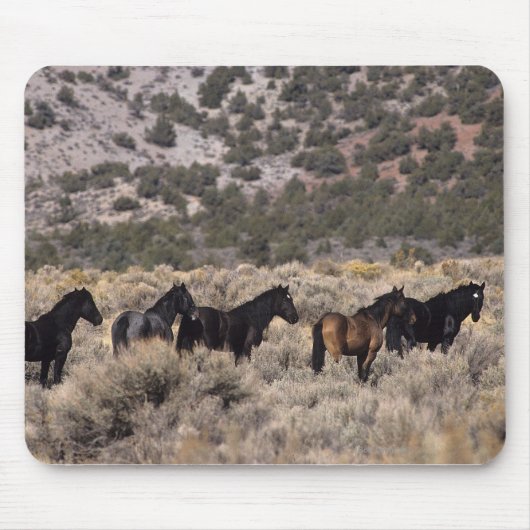 Tapis De Souris Chevaux sauvages de mustang dans le désert 2 (Devant)