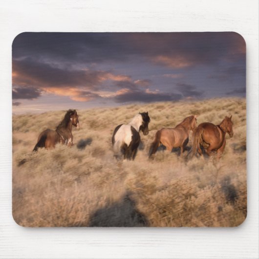 Tapis De Souris Chevaux Sauvages en Course (Devant)