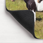 Tapis De Souris Chevaux sur le flanc de colline (Coin)
