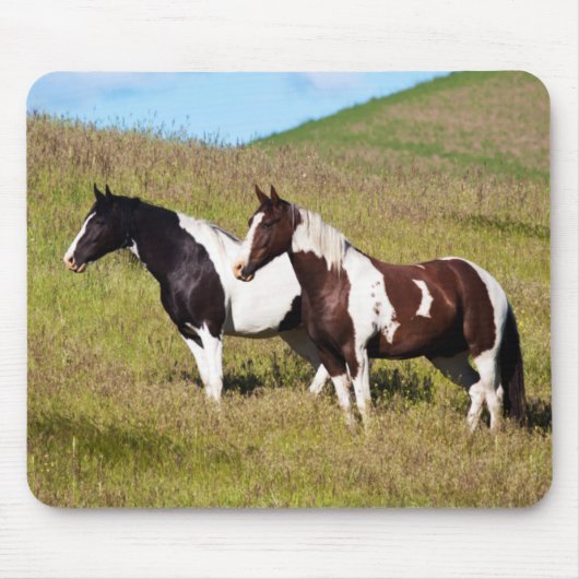 Tapis De Souris Chevaux sur le flanc de colline (Devant)