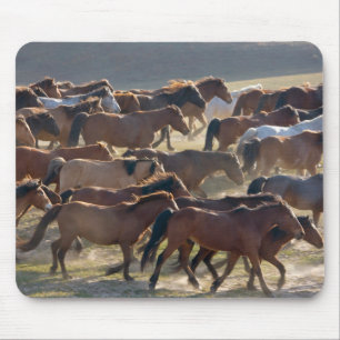 Tapis De Souris Chevaux sur le ranch, Mongolie Intérieure, Chine