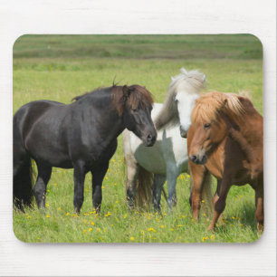Tapis De Souris Chevaux sur le Ranch, sud de l'Islande