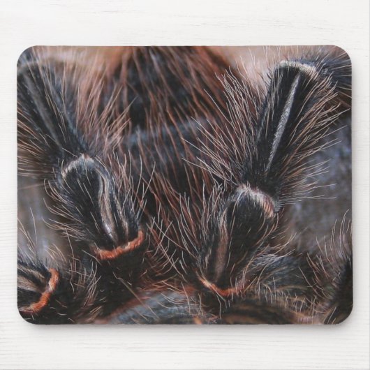 Tapis De Souris cheveux d'araignée (Devant)