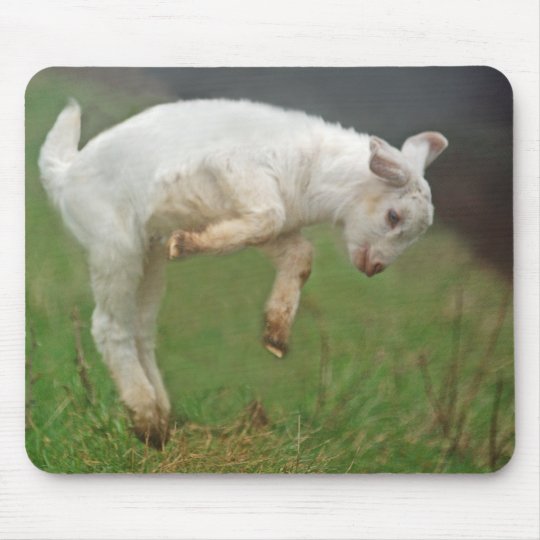 Tapis De Souris Chevre Blanche De Bebe Drole De Chevre Sautant Zazzle Be