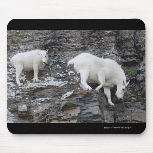 Tapis De Souris Chèvre de montagne (Devant)