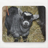 Tapis De Souris Chèvre de pygmée de bébé (Devant)