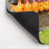 Tapis De Souris Chèvre Moth Caterpillar Mouse Mat (Coin)