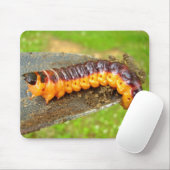 Tapis De Souris Chèvre Moth Caterpillar Mouse Mat (Avec souris)