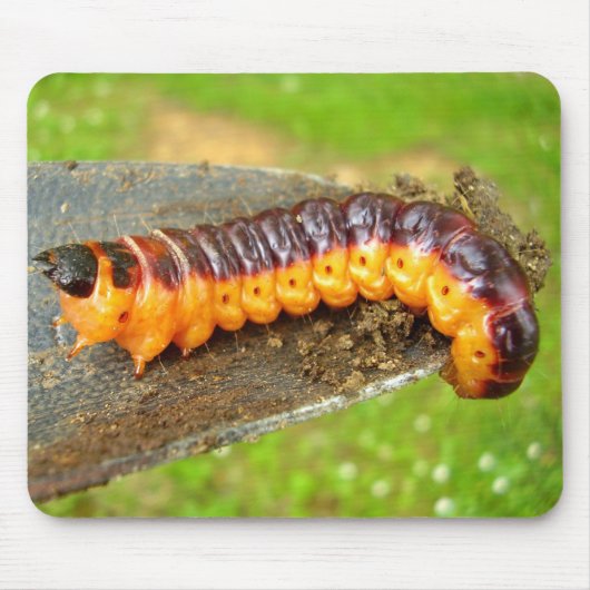 Tapis De Souris Chèvre Moth Caterpillar Mouse Mat (Devant)