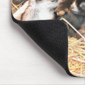 Tapis De Souris Chèvre pygméenne (Coin)
