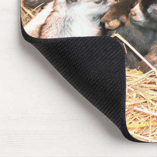 Tapis De Souris Chèvre pygméenne (Coin)
