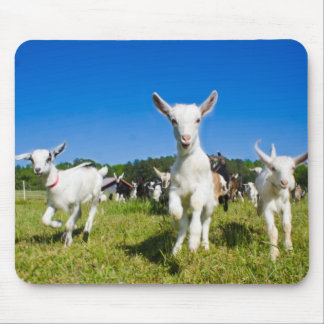 Tapis De Souris Chèvres Mousepad de bébé
