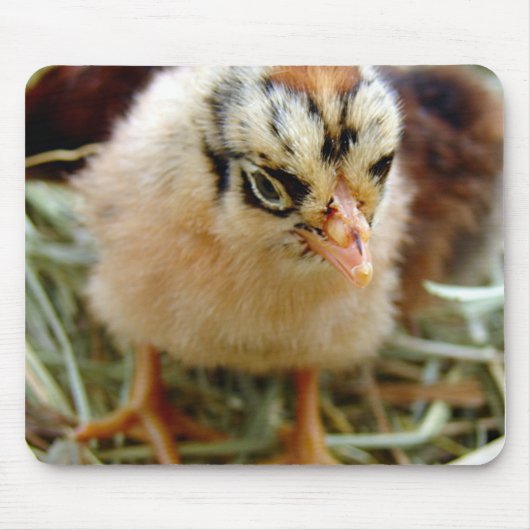 Tapis De Souris Chic (Devant)