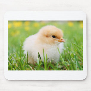 Tapis De Souris Chick