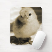 Tapis De Souris Chick de démarrage (Avec souris)