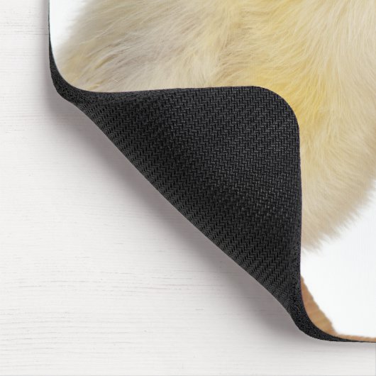 Tapis De Souris Chick with egg (2 days old) (Coin)
