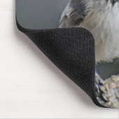 Tapis De Souris Chickadee (Coin)