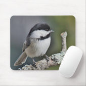 Tapis De Souris Chickadee (Avec souris)
