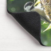 Tapis De Souris Chickadee Manger des graines de tournesol (Coin)