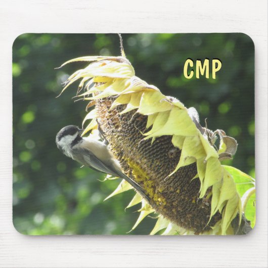 Tapis De Souris Chickadee Manger des graines de tournesol (Devant)