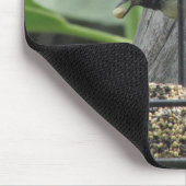 Tapis De Souris Chickadee Manger Sunflower suet (Coin)
