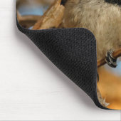 Tapis De Souris Chickadee Songbird, Joli Espérant (Coin)