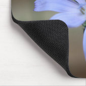 Tapis De Souris Chicorée (Cichorium intybus) (Coin)