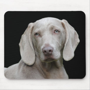 Tapis De Souris chien