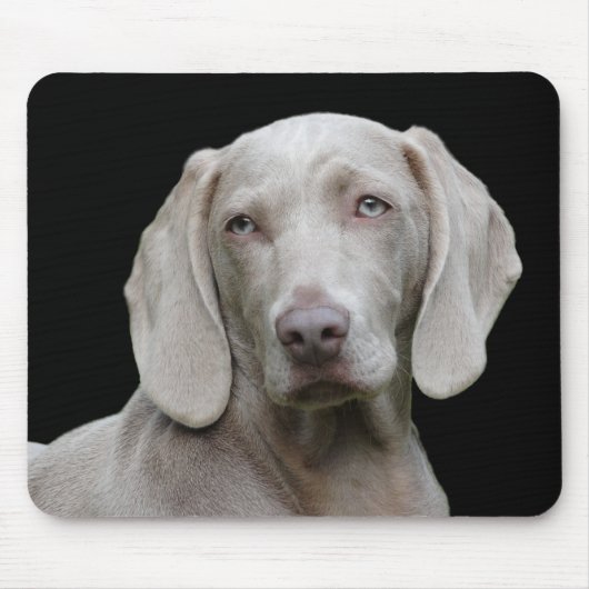 Tapis De Souris chien (Devant)