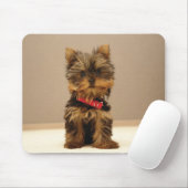 Tapis De Souris chien1 (Avec souris)