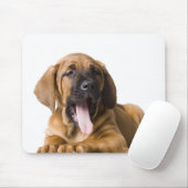 Tapis De Souris Chien 2 (Avec souris)