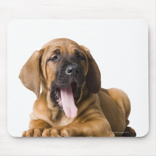 Tapis De Souris Chien 2 (Devant)
