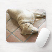 Tapis De Souris Chien 3 (Avec souris)