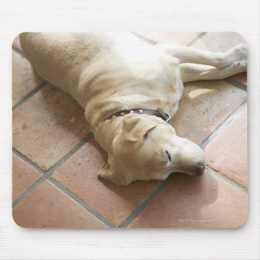 Tapis De Souris Chien 3 (Devant)
