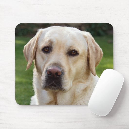 Tapis De Souris Chien à chiots du Labrador jaune - Vert (Avec souris)