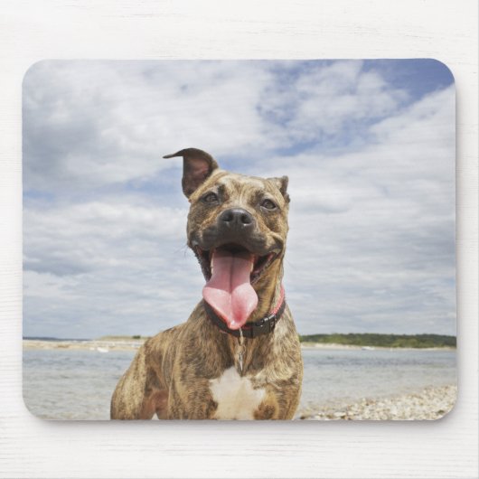 Tapis De Souris chien à la plage (Devant)