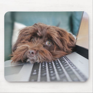 Tapis De Souris Chien, Animal de compagnie, confinement