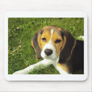 Tapis De Souris Chien Beagle Animaux de Compagnie Paix Amour