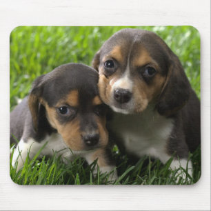 Tapis de souris Chien Beagle Puppy Amour